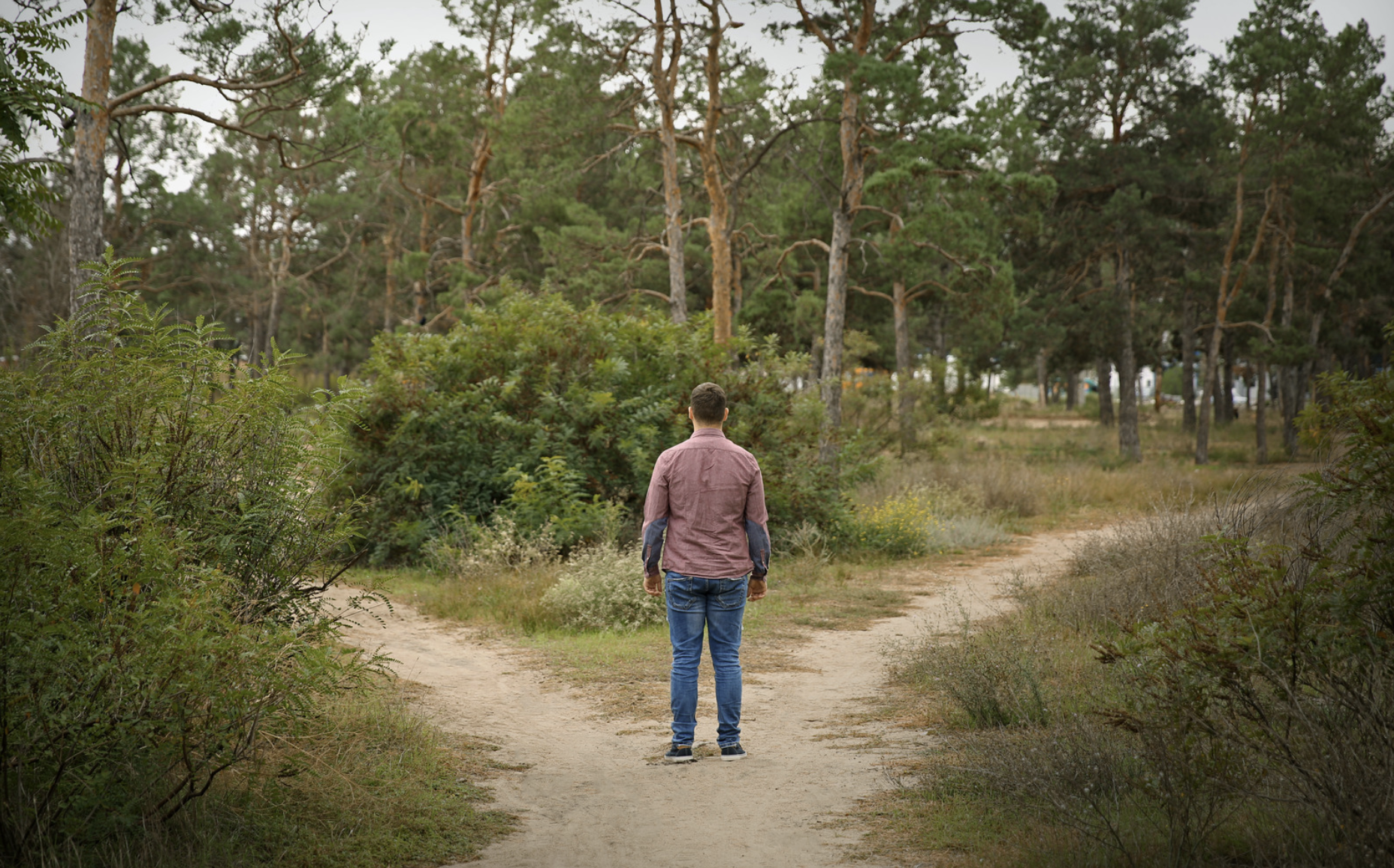 Homme de dos devant un chemin qui se divise en deux