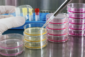 Eprouvettes, manipulation laboratoire scientifique